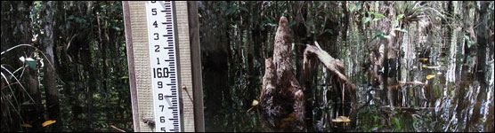 Water Level Gauge in Big Cypress