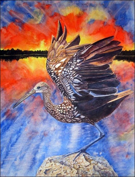 "The Night Screamer in the Everglades," a watercolor painting by Nature Illustrator and Artist Kathleen Konicek-Moran