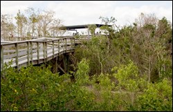 Pa-hay-okee boardwalk trail and overlook