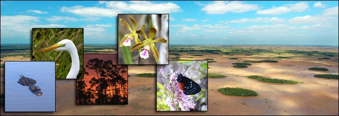 Everglades National Park was set aside to protect a landscape of national significance and the assemblage of life within it.