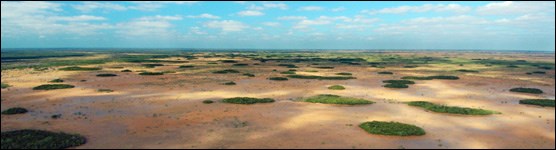 Aerial view of Everglades tree islands