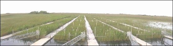 Photo of the experimental dosing facility in Everglades National Park