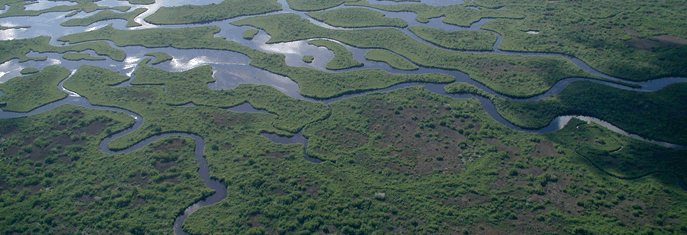 RES02-2AER Everglades Backcountry