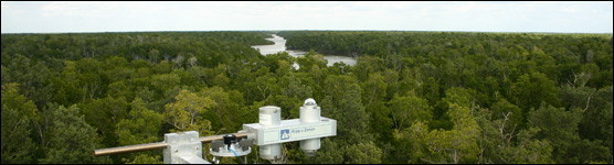 Research Instruments Overlooking the Mangrove Forest