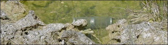 Aquatic Refugia in the Everglades