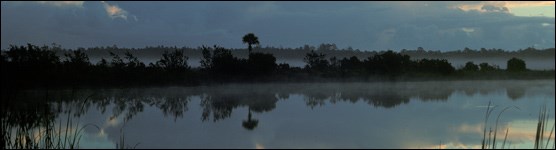 Surface Waters in the Everglades