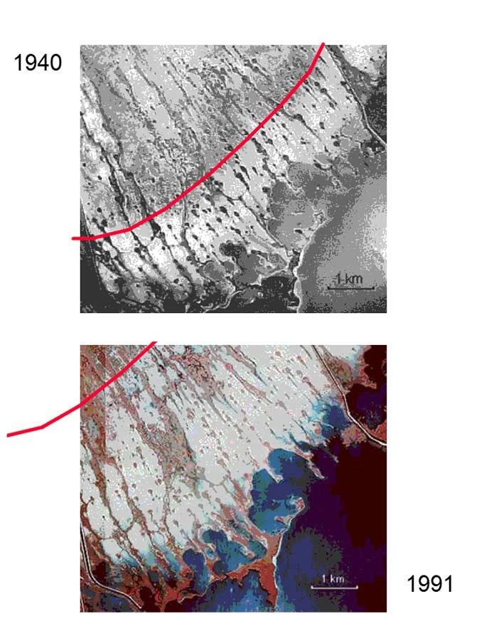 The interior boundary of the saline glades has moved inland from 1940 to 1991