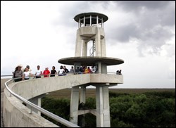 Shark Valley Observation Tower