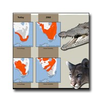 Image from Climate Changes, Shifting Ranges brochure