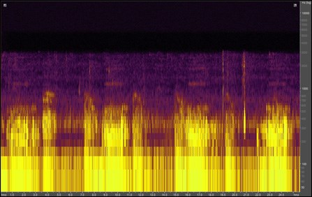 Spectrogram of alligator and pig frog