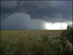 Summer thunderstorm