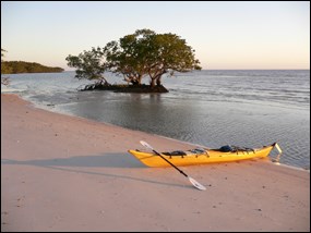 Wilderness experienced by kayak on Tiger Key