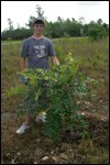 Tree Planting in the HID Tree Planting in the HID