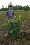 Tree Planting in the HID