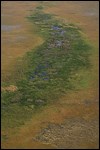 Aerial View of Taylor Slough Aerial View of Taylor Slough
