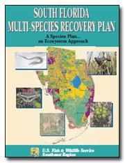 Recovery Plan Cover Recovery Plan Cover
