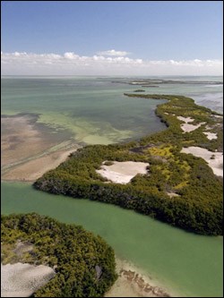 View of Florida Bay