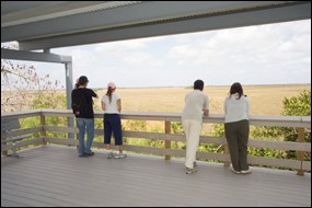 Pahayokee Overlook