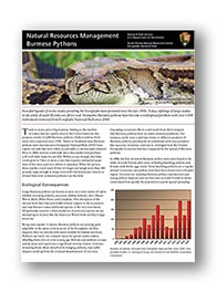 Burmese Pythons: Research - Everglades National Park (U.S. National ...