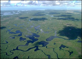 Shark Slough maze