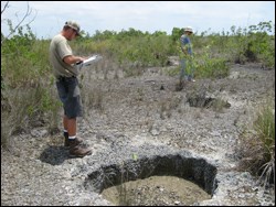 Solution holes in karst topography