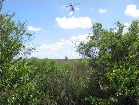 Aerial spot spraying