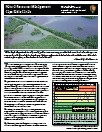 Fact Sheet Thumbnail