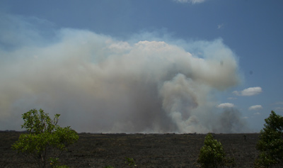 Smoke Bellows From The Horizon