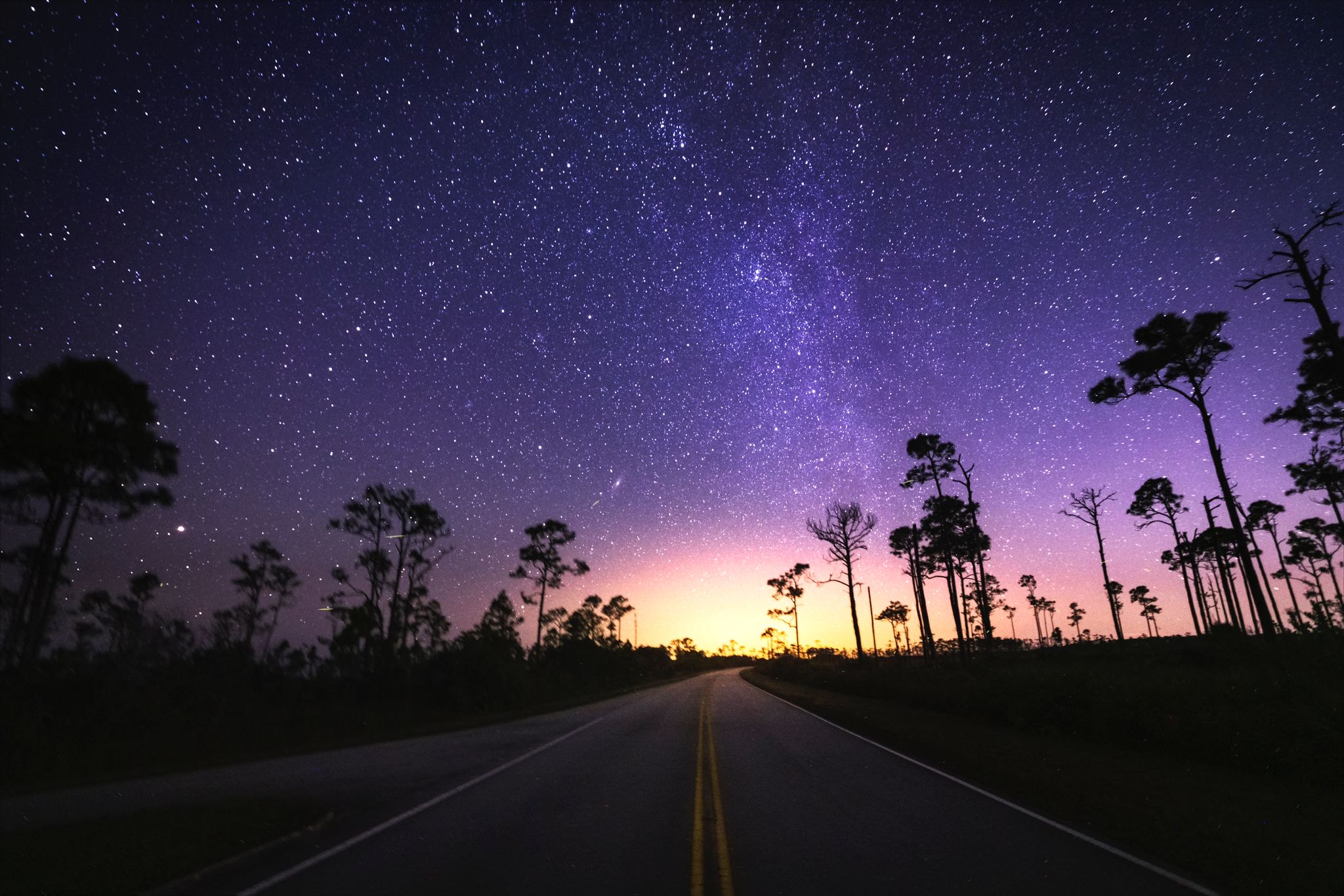 Half the park is after dark A road surrounded by trees on either sides under a clear and starry night.