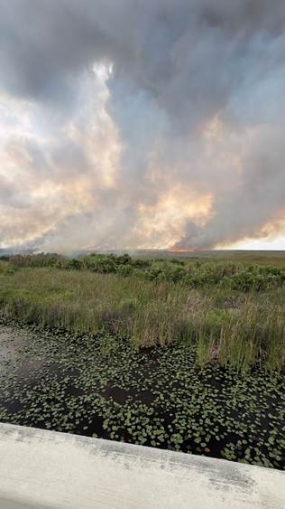 The Bluegill Fire burns through green sawgrass in the distance