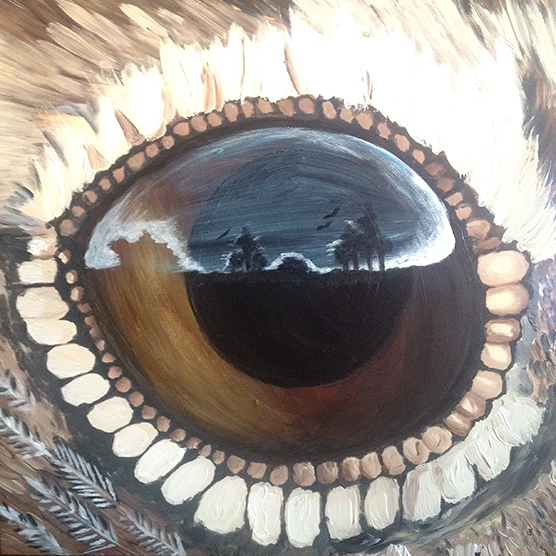 Eyes of Everglades