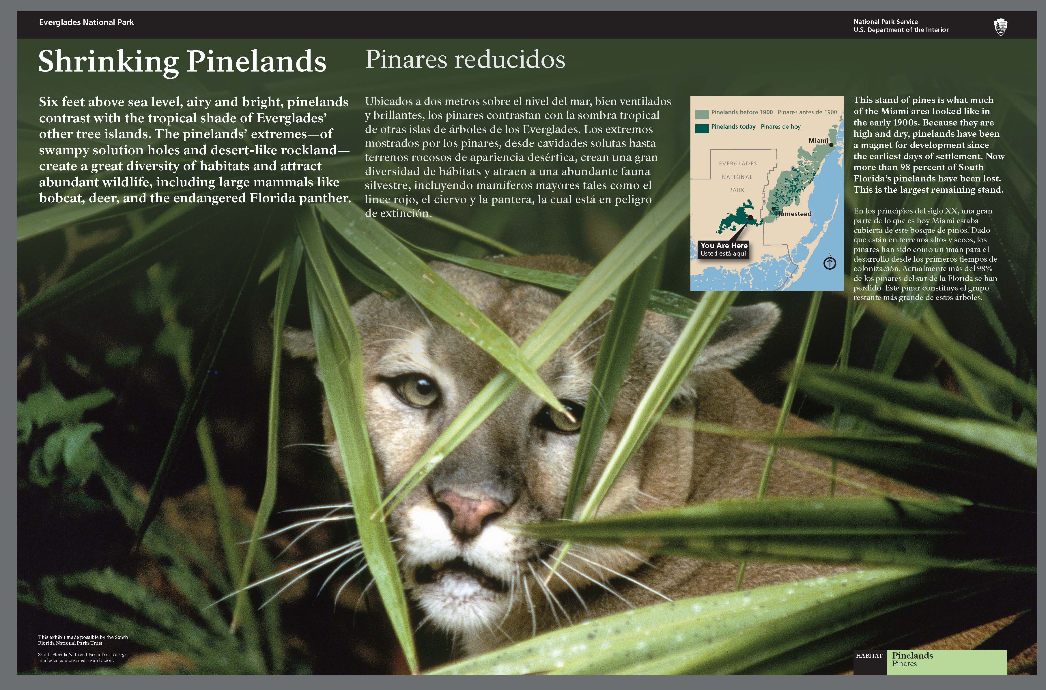 Florida Panther Wayside Exhibit