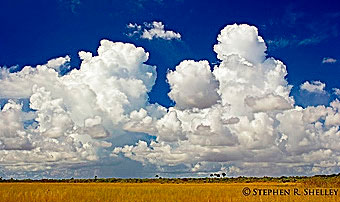 Everglades Thunderstorm