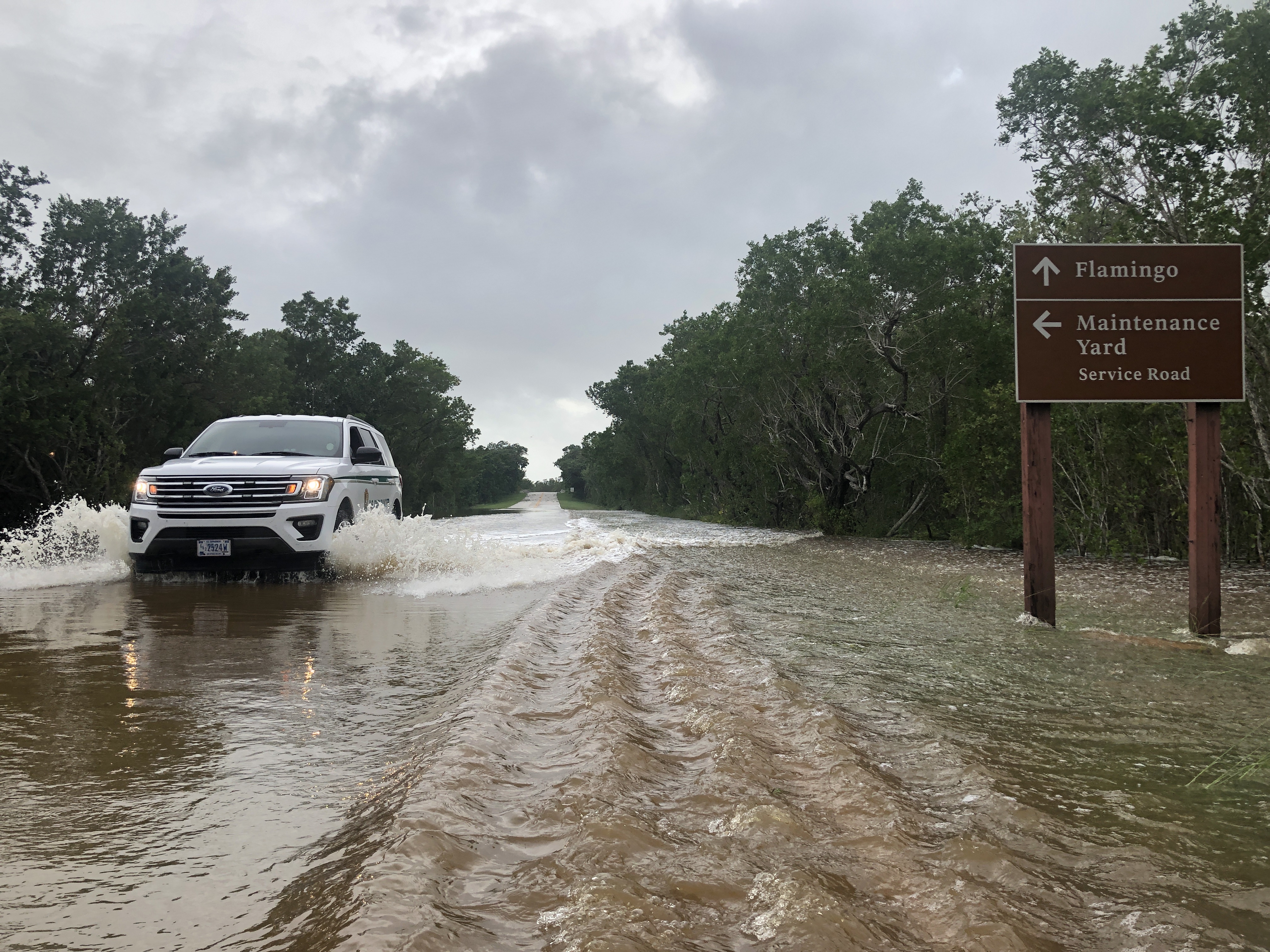 A park ranger vehicle drives through water past a sign with directional arrows for Flamingo and Maintenance Yard Service Road