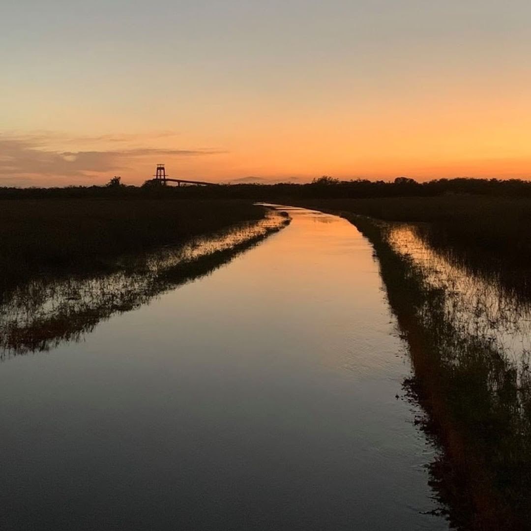 A submerged portion of the Shark Valley Tram Road. There is orange and yellow coloring in the sky and the water. The Observation Tower is in the distance.