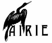 Aritist in Residence In Everglades