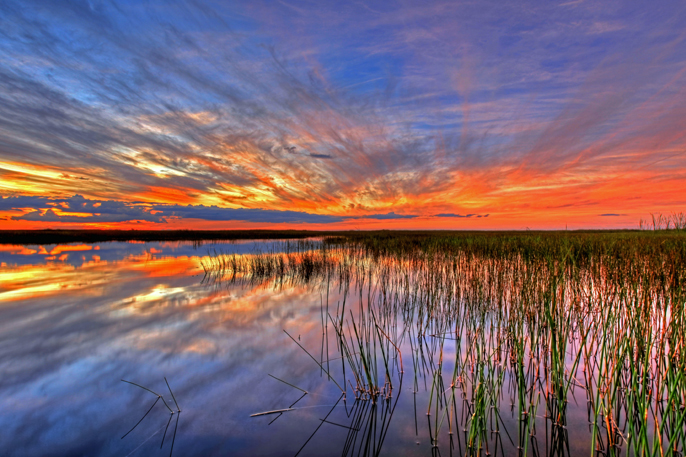 SCENIC  River of Grass Reflections, NPSPhoto, G