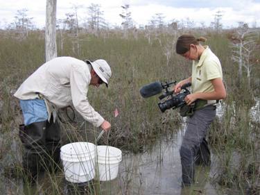 Park Videographer and Fish Biologist filming