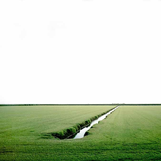 Everglades Art Exhibit