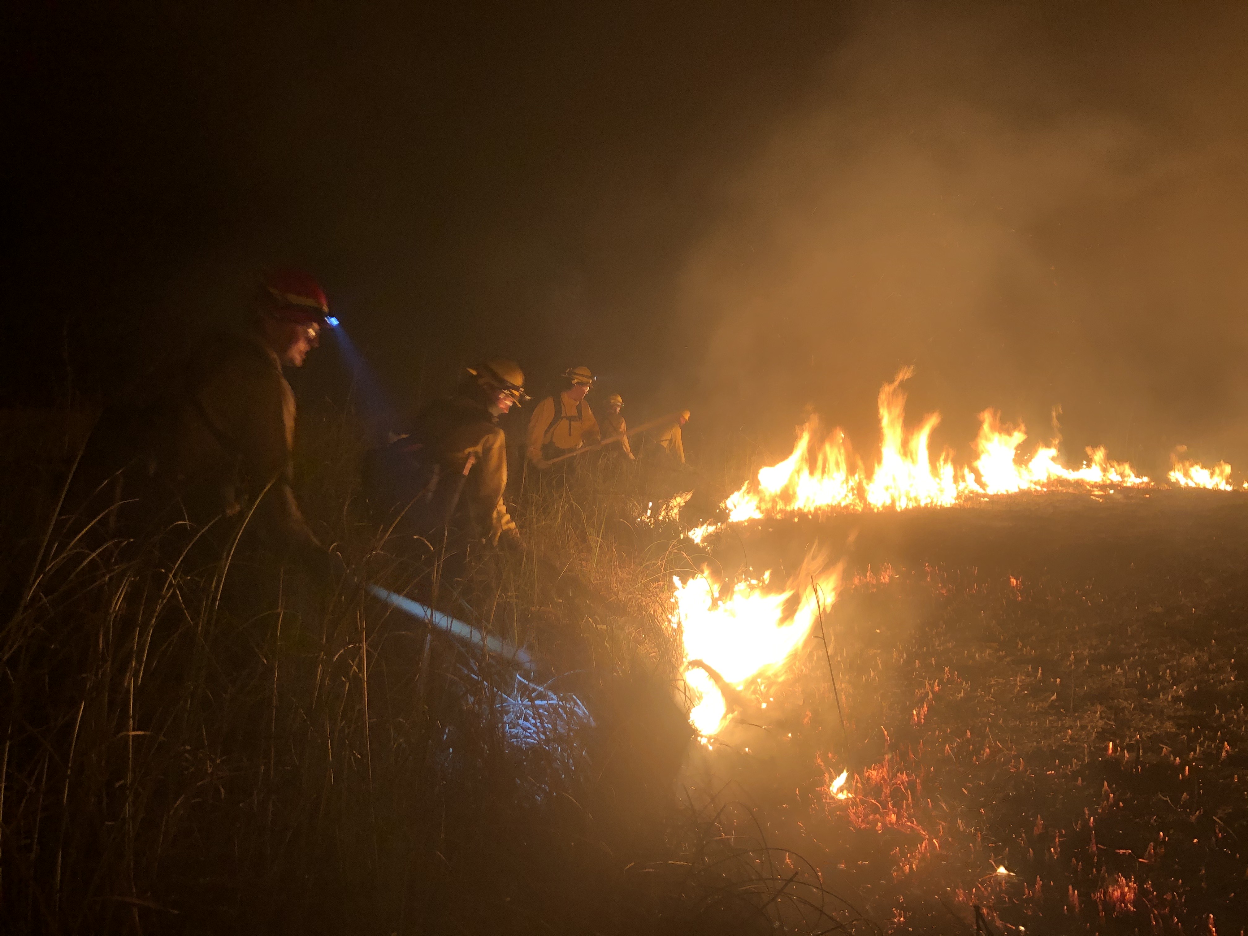 Firefighters standing in a line and using flappers to put out nearby fire on grass