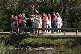 Ranger-guided walk on the Anhinga Trail