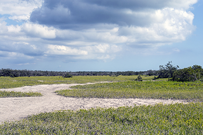 Coastal Prairie Trail