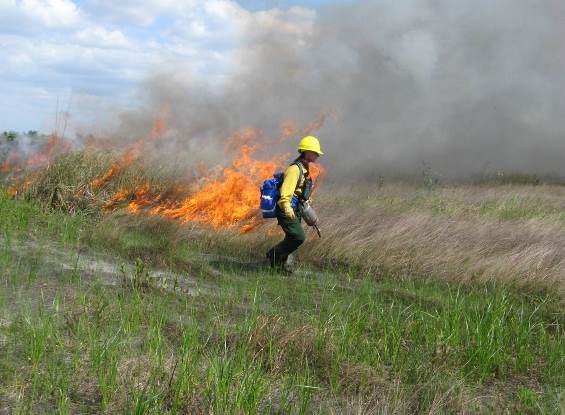 firefighter with drip torch