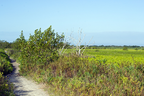 Coastal Prairie Trail