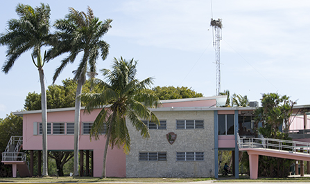 flamingo visitor center