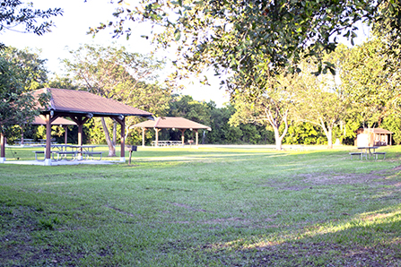 picnic area