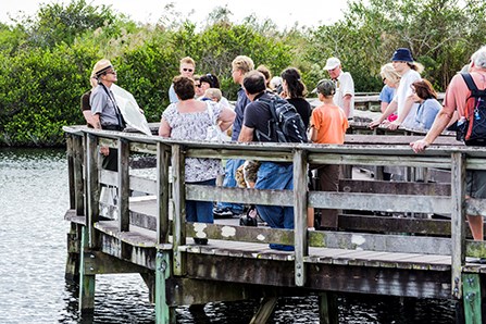 web ranger guided tours ahinga trail