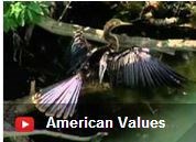 American Values