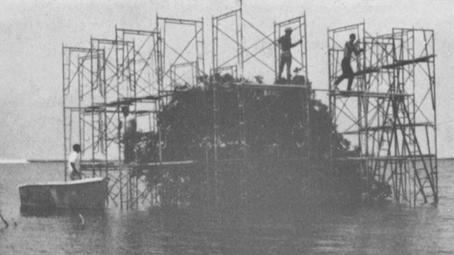 a black and white photo of platforms are being built around a small mangrove island