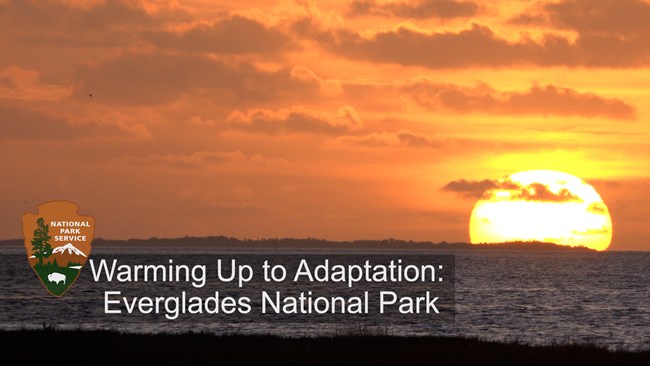 A bright yellow sun in shown on the horizon with the words "Warming up to the Adaptation: Everglades National Park" at the bottom of the photo